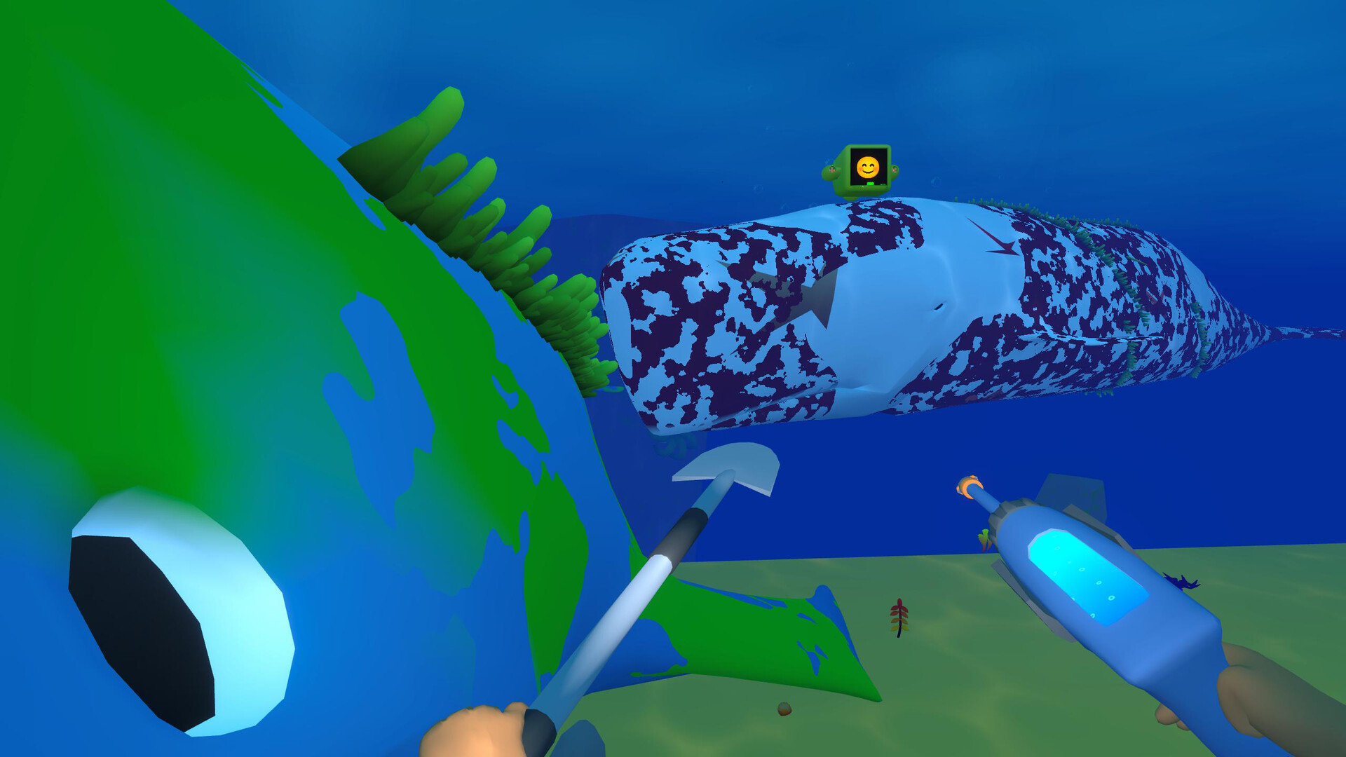 Bodian's Bay Wash screenshot